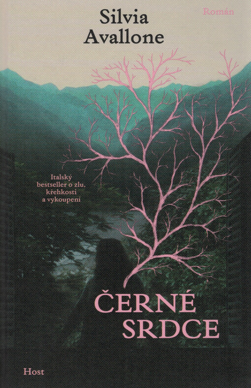 Černé srdce / Silvia Avallone ; přeložila Denisa Streublová