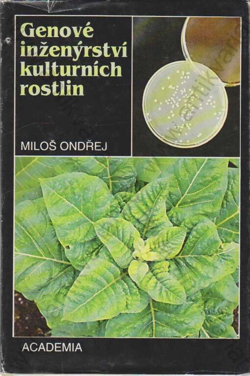 Genové inženýrství rostlin