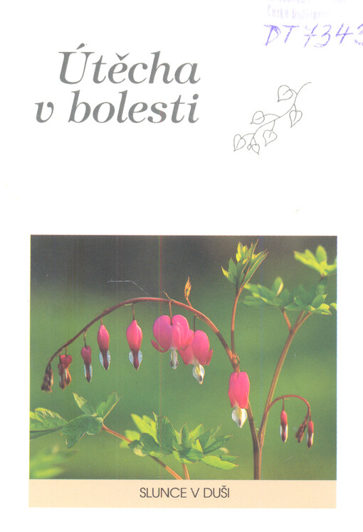 Útěcha v bolesti