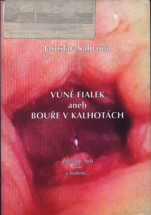 Vůně fialek, aneb, Bouře v kalhotách