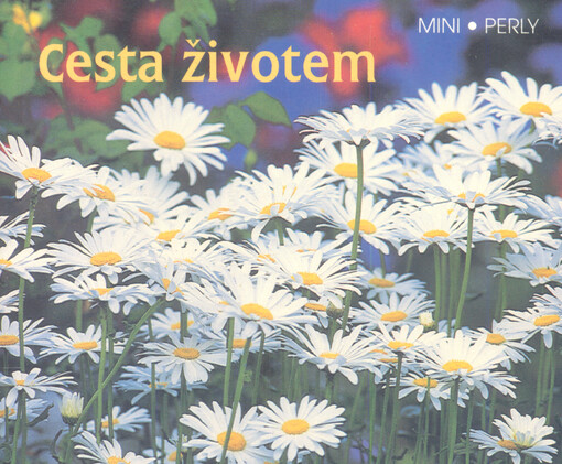 Cesta životem