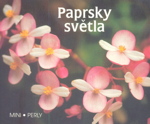 Paprsky světla