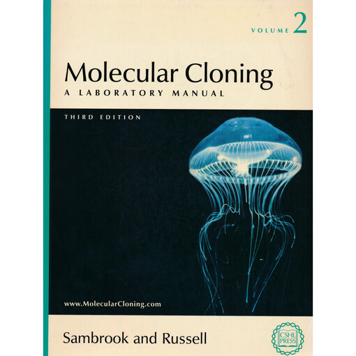 Molecular cloning :a laboratory manual.2