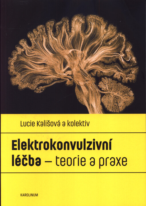 Elektrokonvulzivní léčba teorie a praxe
