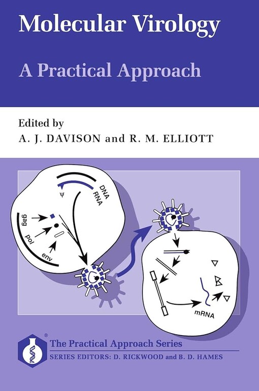Molecular virology :a practical approach