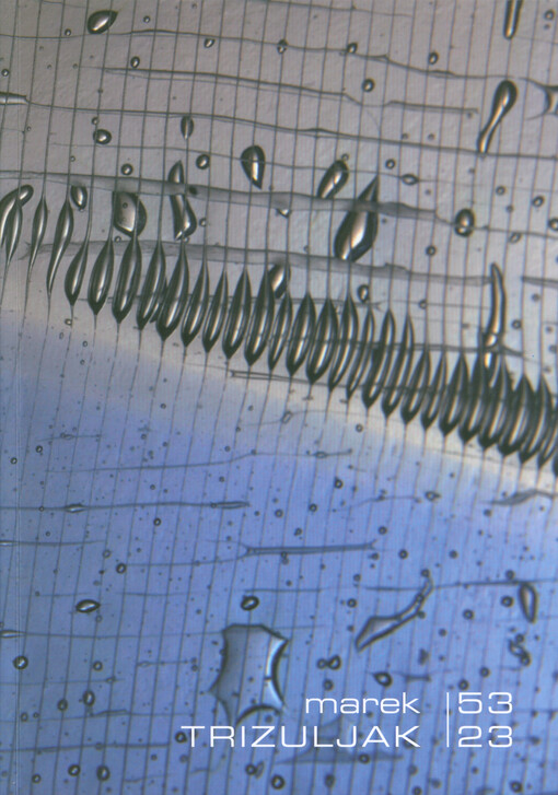 Marek Trizuljak, 53-23 :