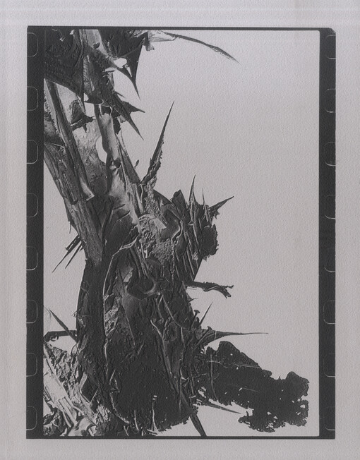 Aleš Veselý : Alešville