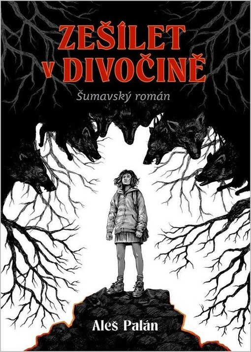 Zešílet v divočině : šumavský román / Aleš Palán