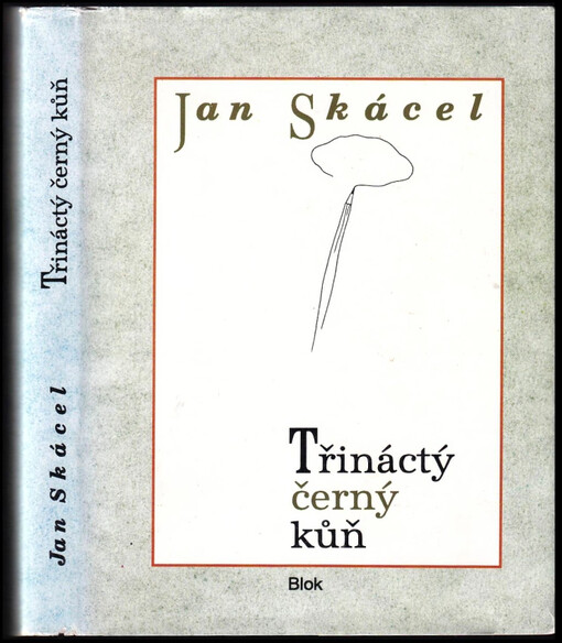 Třináctý černý kůň