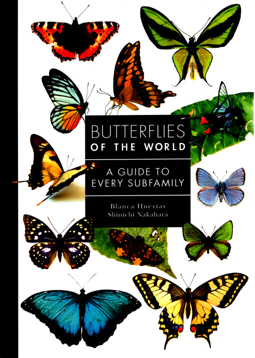 Butterflies of the world : a guide to every subfamily