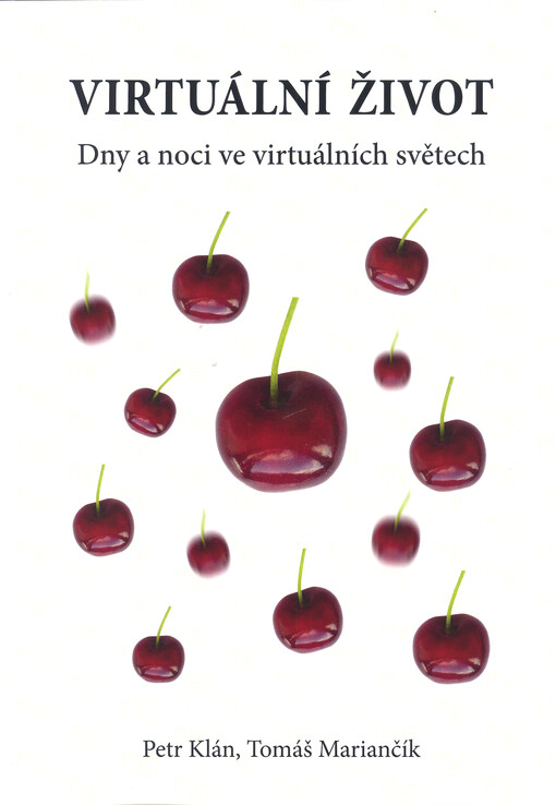 Virtuální život : dny a noci ve virtuálních světech