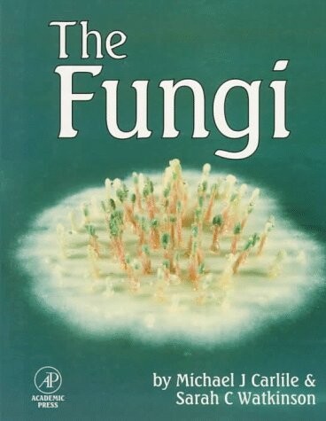 The Fungi: A Microbiological Approach