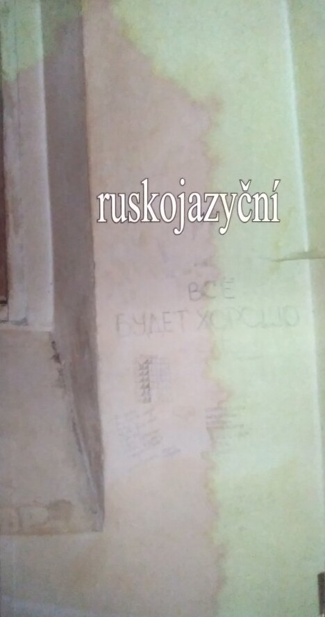 Ruskojazyční