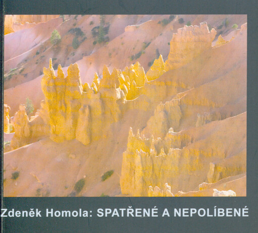 Spatřené a nepolíbené