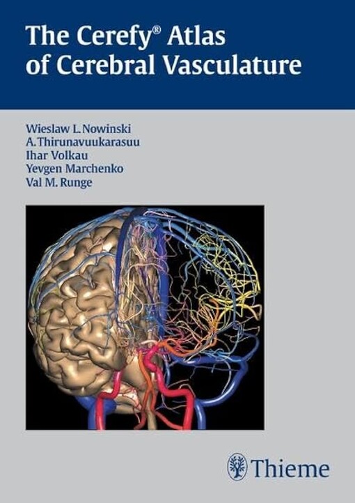 The Cerefy Atlas of cerebral vasculature