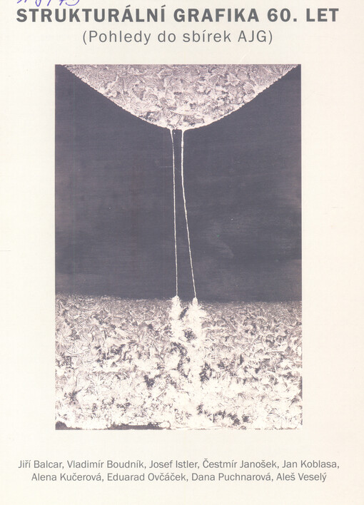Strukturální grafika 60. let : pohledy do sbírek AJG