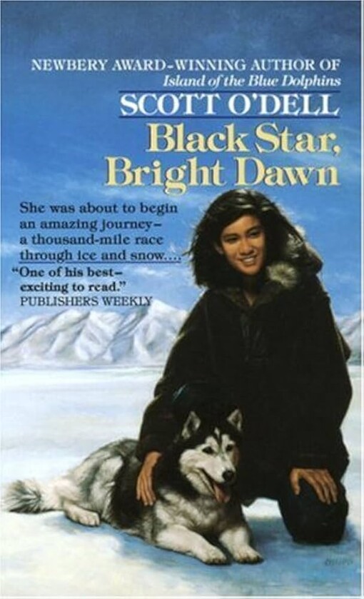 Black Star, Bright Dawn (Paperback)