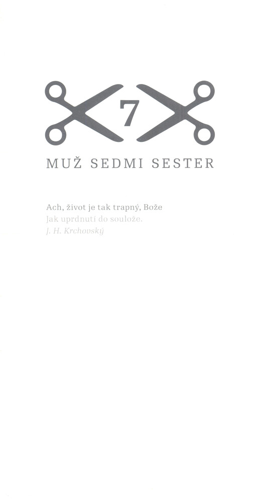 Muž sedmi sester : [erotická groteska : podle námětu z románu Jaroslava Havlíčka napsali Olga Šubrtová a Martin Glaser