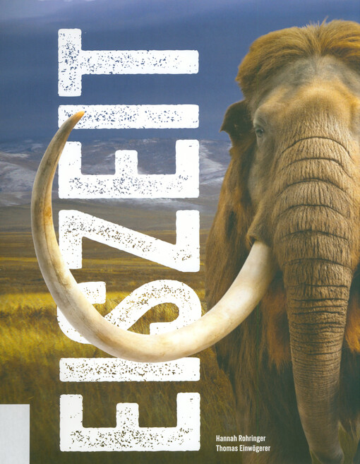 Eiszeit : neue Ergebnisse zum Paläolithikum in Österreich = Ice Age : new results on the Palaeolithic in Austria