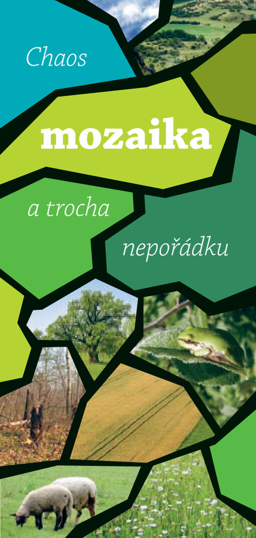 Chaos, mozaika a trocha nepořádku
