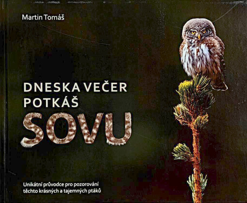 Dneska večer potkáš sovu