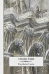 Duchovní cesta : (deník)