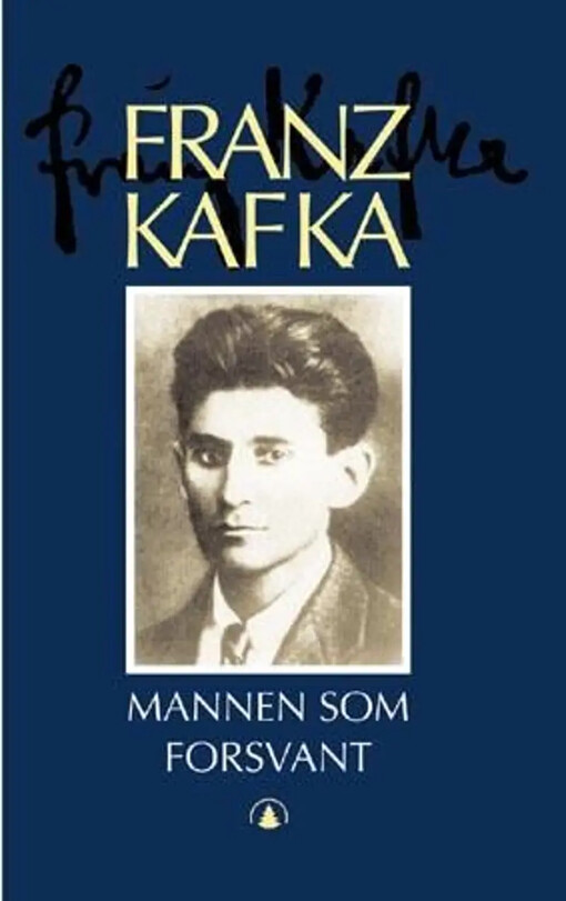 Mannen som forsvant :roman