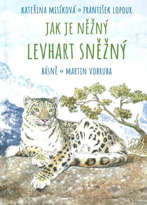 Jak je něžný levhart sněžný