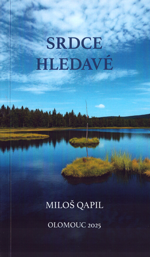 Srdce hledavé