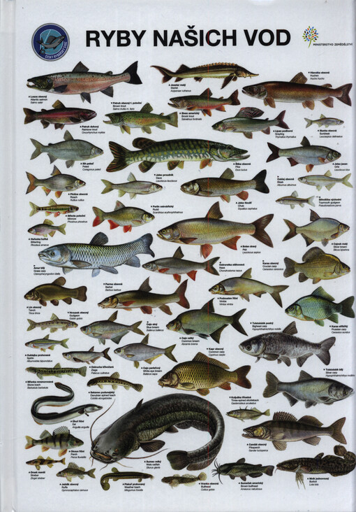 Ryby našich vod