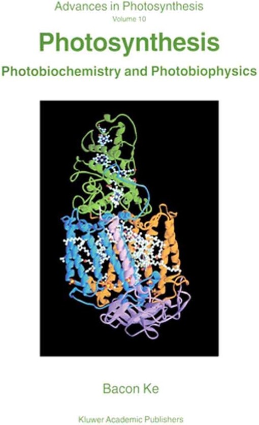 Photosynthesis Photobiochemistry and Photobiophysics (Advances in Photosynthesis and Respiration)