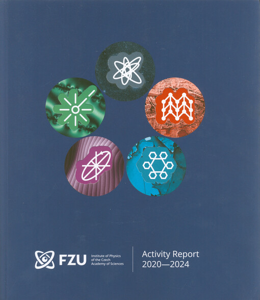 Activity report 2020-2024