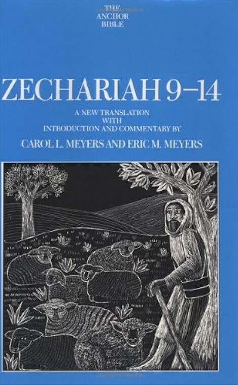 Zechariah 9-14 :a new translation with introduction and commentary