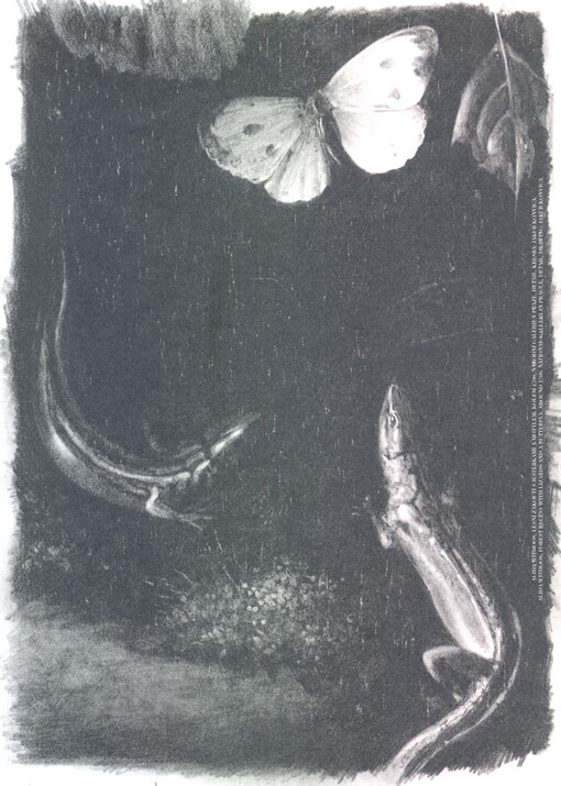 Alšova jihočeská galerie si Vás a Vaše přátele dovoluje pozvat na slavnostní otevření stálé expozice v nové sezóně Meziprůzkumy. Sbírka AJG 1300-2017 : umělecká intervence Esther Stocker, Segmenty vnímání ...