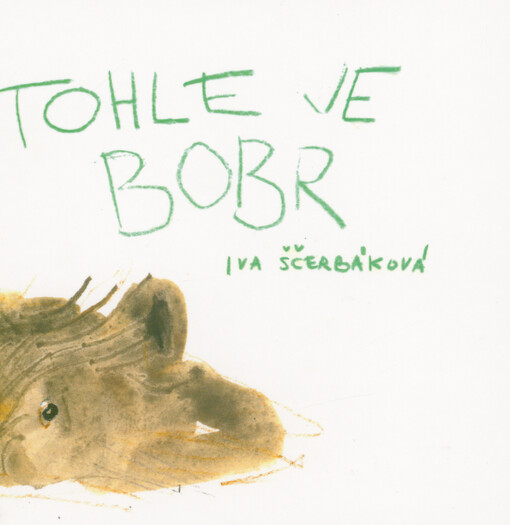Tohle je bobr