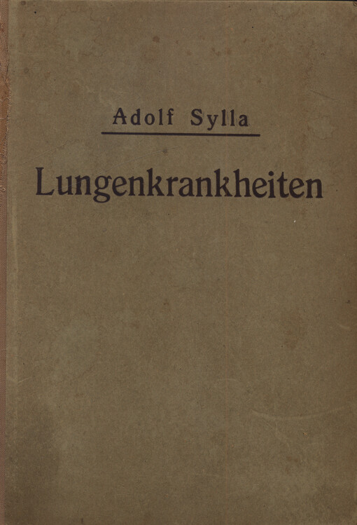 Lungenkrankheiten einschliesslich der Erkrankungen der oberen Luftwege und des Brustfelles