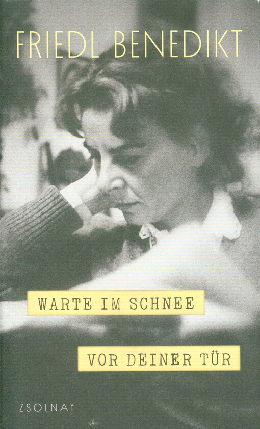 Warte im Schnee vor deiner Tür : Tagebücher und Notizen für Elias Canetti