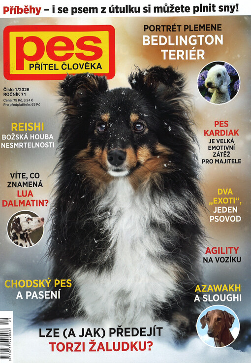 Pes přítel člověka : časopis pro chov a výcvik psů všech plemen