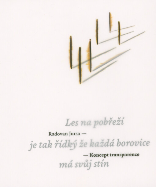 Koncept transparence