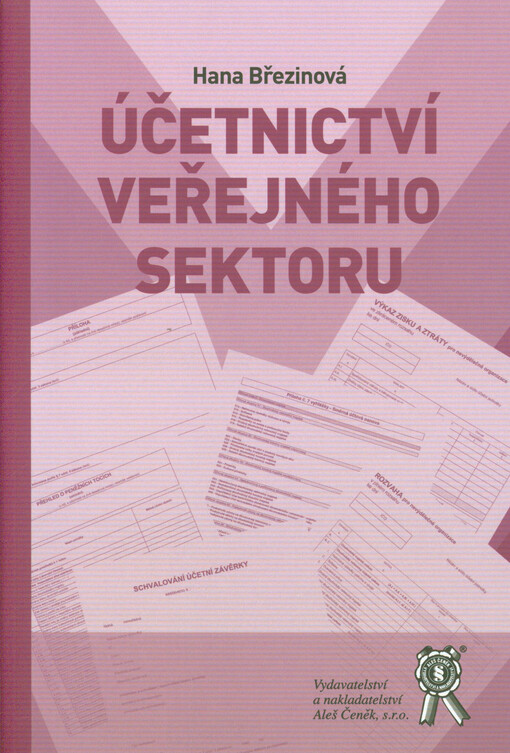 Účetnictví veřejného sektoru