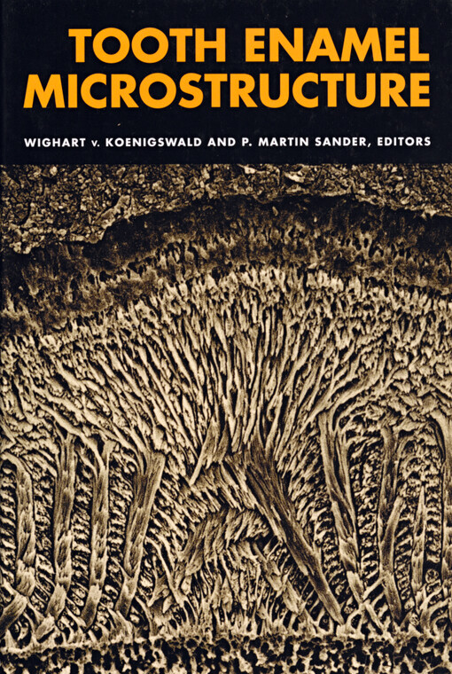 Tooth enamel microstructure