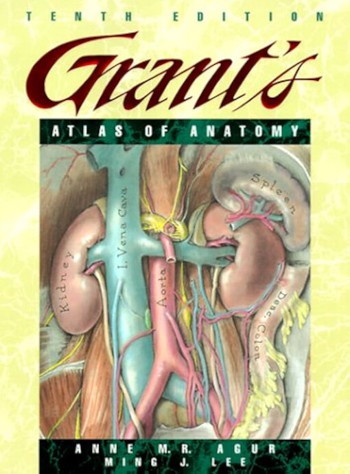 Grant's Atlas of Anatomy (Grant, John Charles Boileau//Grant's Atlas of Anatomy)