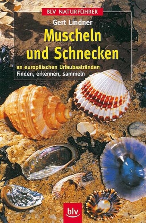 Muscheln und Schnecken