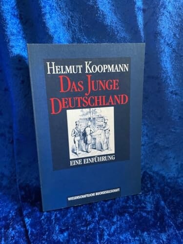 Das Junge Deutschland: Eine Einfuhrung (German Edition)