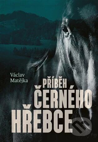 Příběh černého hřebce /