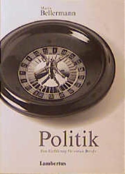 Politik. Eine Einführung für soziale Berufe.