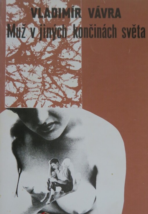 Muž v jiných končinách světa :román