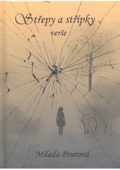 Střepy a střípky  (odkaz v elektronickém katalogu)