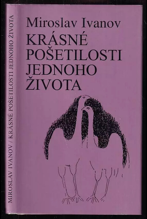 Krásné pošetilosti jednoho života