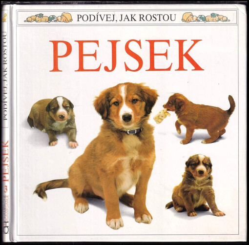 Podívej, jak rostou: Pejsek